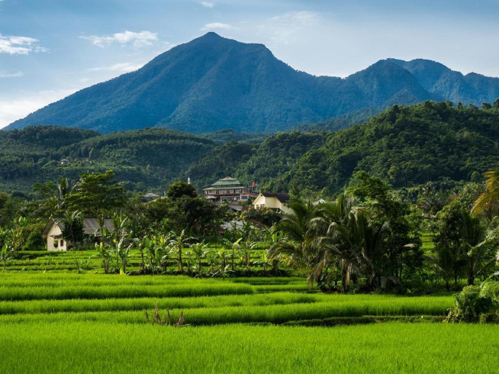 Bogor Valley Hotel Екстер'єр фото