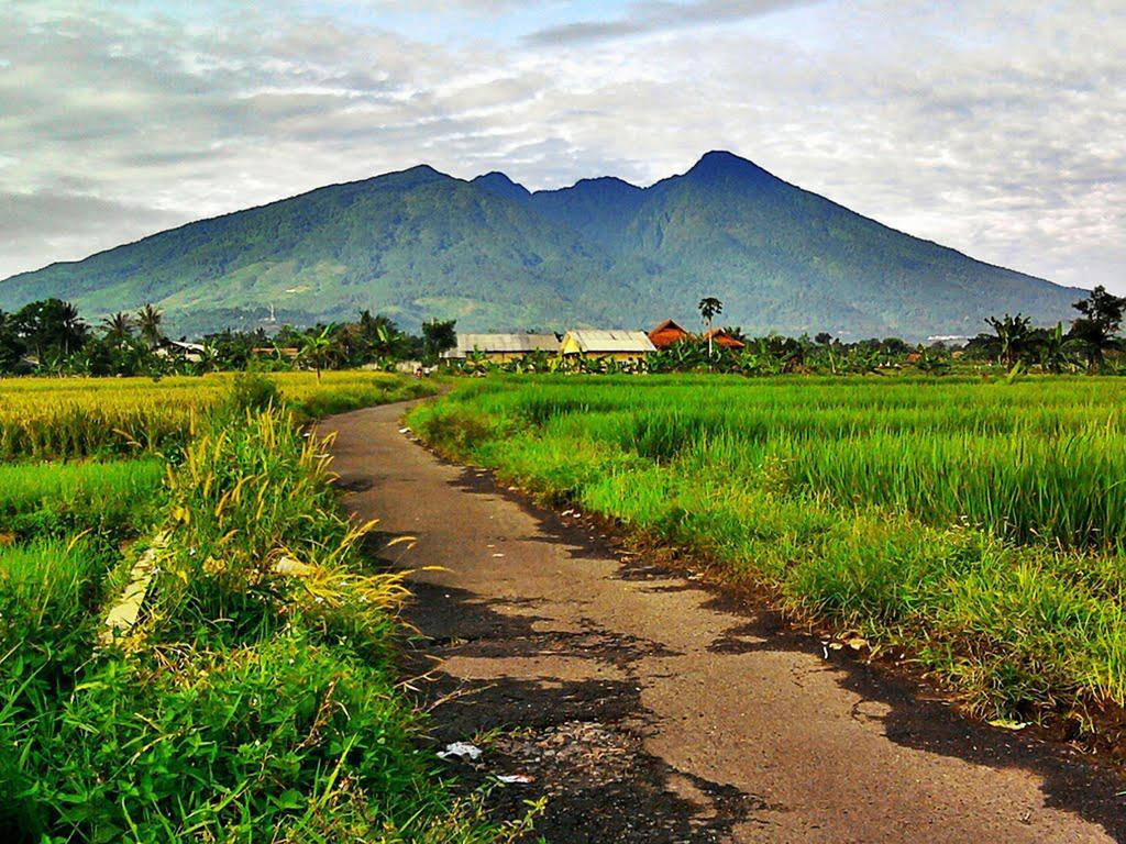 Bogor Valley Hotel Екстер'єр фото