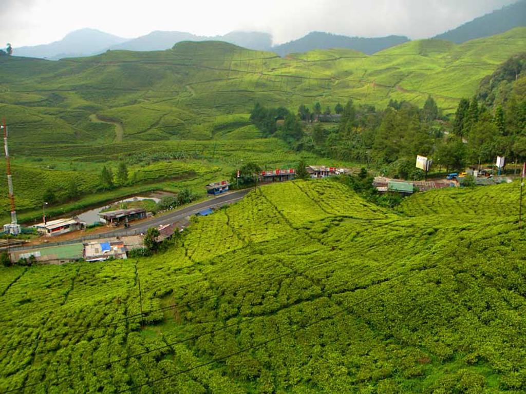 Bogor Valley Hotel Екстер'єр фото