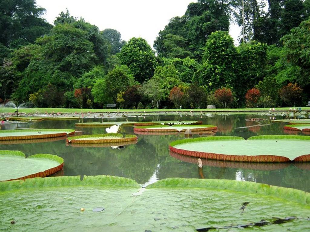 Bogor Valley Hotel Екстер'єр фото